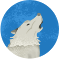 狼