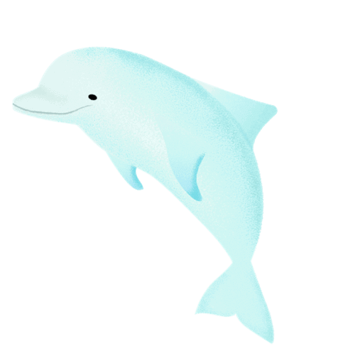 海豚