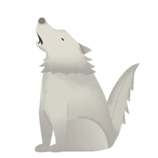 狼