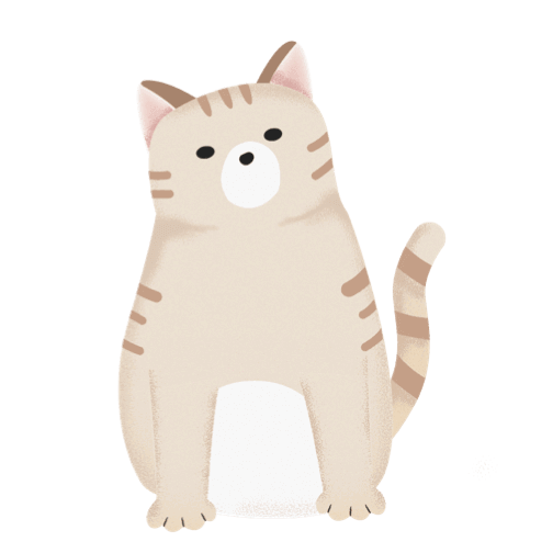 貓